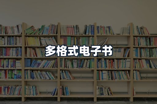 多格式电子书